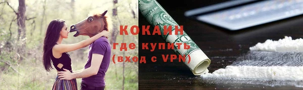 spice Вяземский