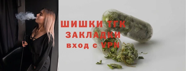 не бодяженный Горно-Алтайск