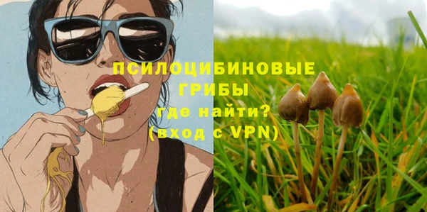 СК Вязники