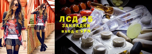 СК Вязьма
