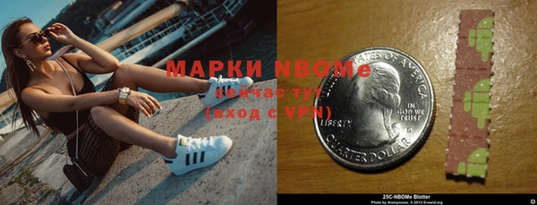 не бодяженный Горно-Алтайск