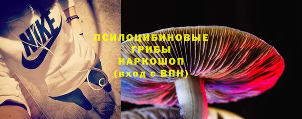 таблы Горняк