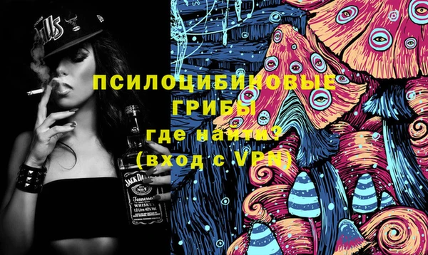 таблы Горняк