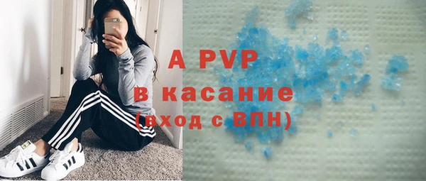 spice Вяземский