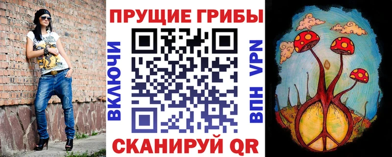 где можно купить   Елец  omg ссылки  Псилоцибиновые грибы GOLDEN TEACHER 