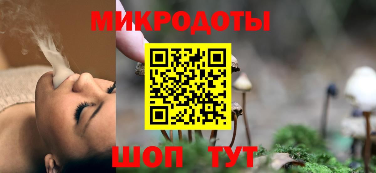 Псилоцибиновые грибы мицелий  Вход с VPN  купить наркотик  Елец 